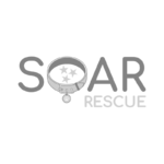 Soar Animal Rescue